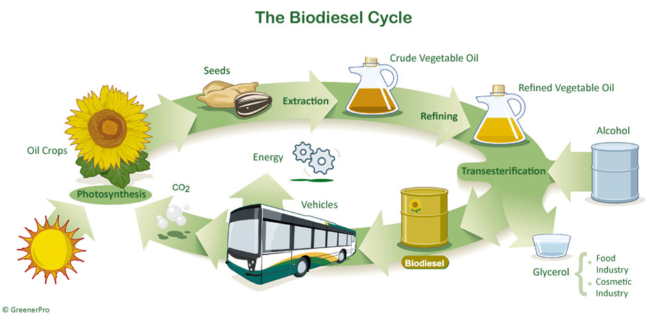 Biodiesel | Clean Cities-Georgia